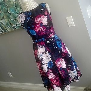 Beautiful Dress  Adrianna Papell